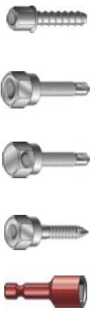 Wood Vertigo (Side) M10 (1/4 x 50 T17)  