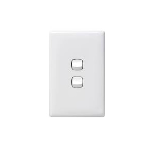 2 GANG SWITCH (STANDARD/SMALL)          